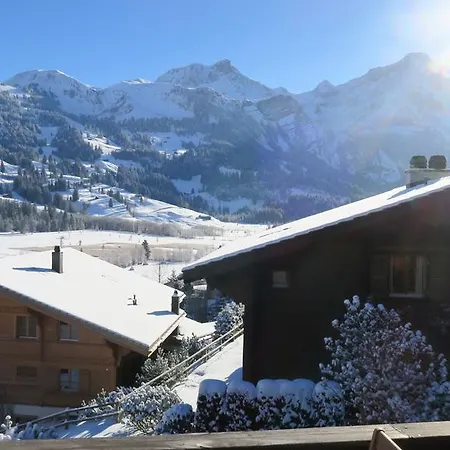 Chalet Silberdistel Apartment *