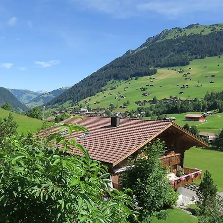 Chalet Silberdistel Apartment *